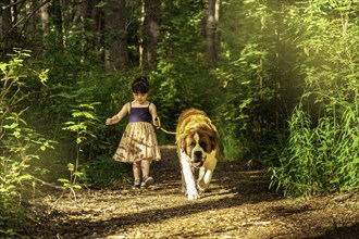 Little girl having fun during a walk in the woods with a saint bernard dog