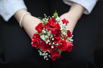 Two hands hold a small bouquet of red roses
