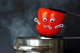 Red Paprika bell pepper with sad face and goggle eyes being put into a steaming cooking pot on dark black background