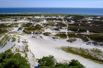 Dune landscape of Dueodde Strand