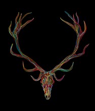 Deer skull graphic in colors