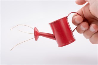 Hand holding a watering can with strawsb but without water on a white background