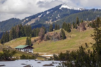 Alpe Dinjoergen
