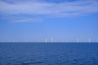 Large offshore wind farm in the Baltic Sea to generate green