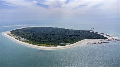 Aerial ofCavallo island