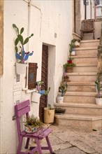 Stairs with flower pots in the old town of Locorotondo