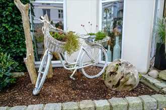 Old bicycle with flower pots as decoration of a front garden in the villa district of Sassnitz