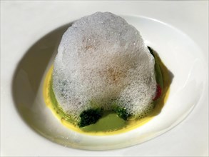 Monkfish Cooked at 69 with Broccoli Cream and Vanilla and Cherry Tomatoes Confit with Foam in Switzerland