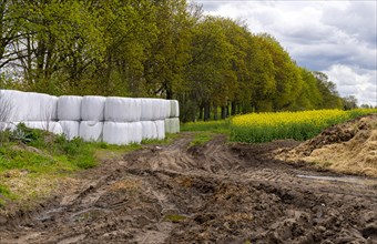 Hay bales and dung heap on an agricultural field
