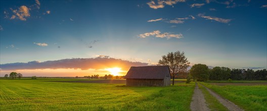 Barn in a meadow by the wayside in the sunset