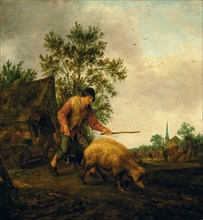 Farmer driving a pig to pasture