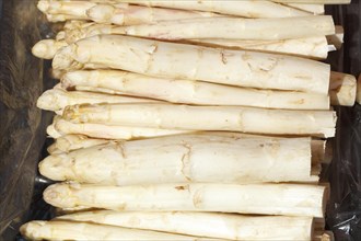 Fresh asparagus on a market stall