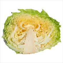 Green cabbage vegetables isolated