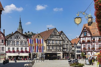 Town view with half-timbered houses