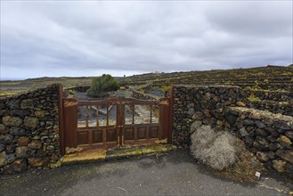 Wooden gate to terraced vineyard on volcano