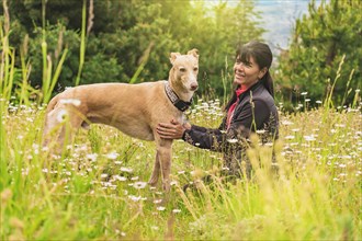 Woman with her greyhound dog in the meadow. Warm colors