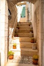 Stairs with flower pots in the old town of Locorotondo