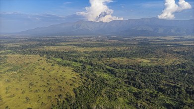 Aerial of the Unesco site Mount Nimba Strict Nature Reserve