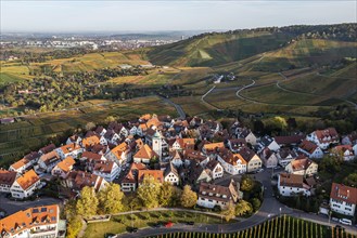 Rotenberg amidst vineyards