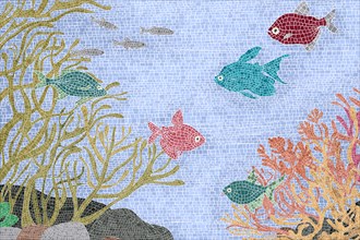 Underwater scene with colored fishes and plants