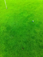 Golf Ball with Backspin and Divot on Golf Green