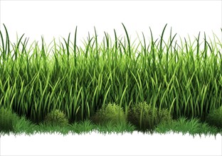 Seamless tileable row of fresh grass on a white background