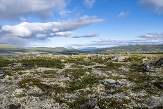 Landscape in the Fjell