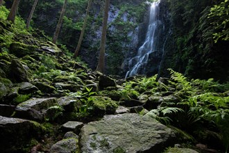 Landscape shot of the Burgbach waterfall
