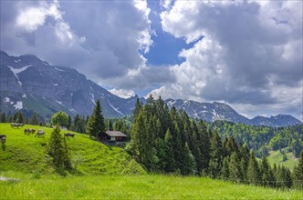 Mountain landscape in the Swiss Alps near Urnaesch and Schwaegalp