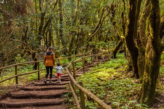 Mother and son climbing some stairs along a path in the Garajonay natural park on La Gomera