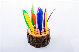 Collection of bright colored feathers on a wooden log