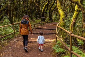 Mother and son walking in the natural park of Garajonay in La Gomera