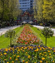 Decorative tulip beds in the Zoological Garden
