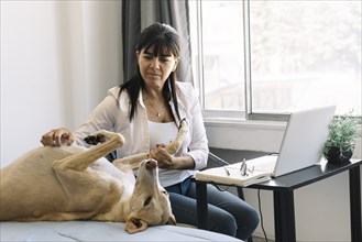 Young modern woman sitting with notebook and laptop petting her dog lying next to her. Work from home