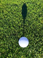 Golf Ball on Tee with Shadow on Fairway Grass with Sunlight in Lugano