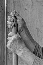 Worn hands of a farmer holding a pitchfork handle