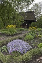 Cottage garden with cushion phlox