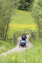 Cyclist with trailer riding on cycle path through meadow in a forest with bridge