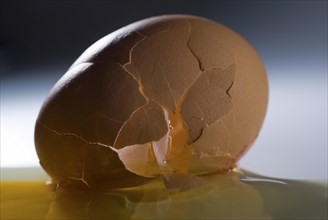 Broken egg with spilled yolk