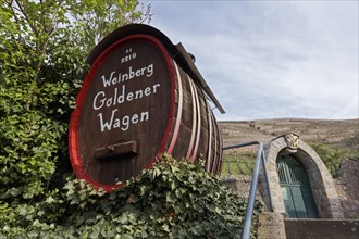 Barrel with inscription vineyard Goldener Wagen