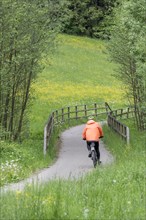 Cyclists riding on a cycle path through a meadow in a forest with a bridge