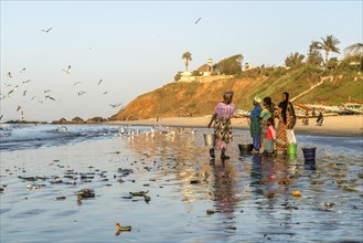 Fishermen's wives on the beach at the fish market