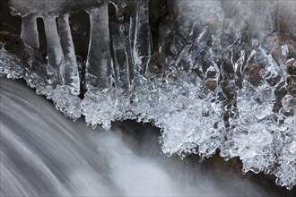 Icicles over water along river in winter in the Harz National Park