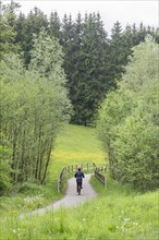 Cyclist riding on cycle path through meadow in a forest with bridge