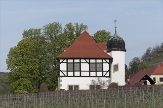 Hofloessnitz Winery