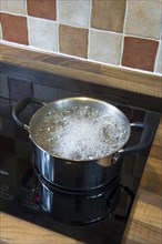 Two handled pot with boiling water
