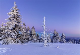 Winter landscape in the Black Forest