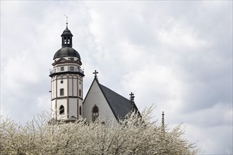 St. Thomas Church with blossoming fruit trees in spring