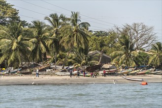 Coconut palms and fishing boats on the beach of the capital Banjul
