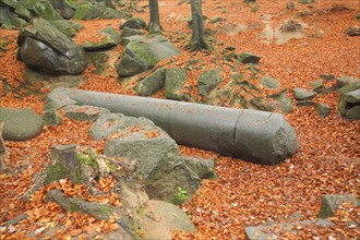 Roman giant column in the forest with rocks